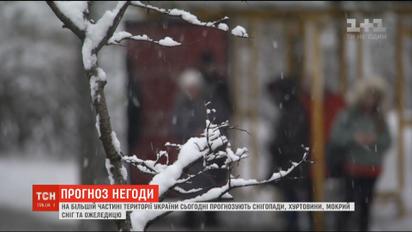 Сильные осадки прогнозируют на большей части территории Украины