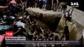 Новости мира: в Бразилии 30 человек пострадали во время рождественской вечеринки