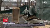 Погода в Україні: у столиці шквальний вітер розігнався до 23 метрів на секунду