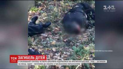 Троє 10-річних хлопців підірвалися на протипіхотній міні поряд з окупованою Горлівкою