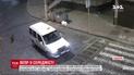 В Черновцах в центре словили дикого кабана