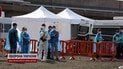 Смертельний хантавірус в Україні! Чи загрожує нам нова пандемія та що відомо про "інфекцію щурів"?