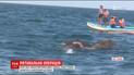 В Шри-Ланке освободили из моря двух слонов