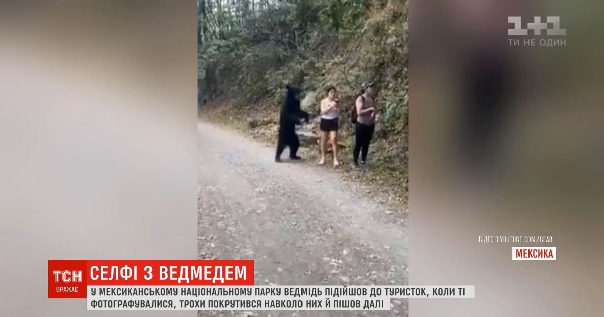 В Мексике медведь изрядно напугал туристок, когда те фотографировались