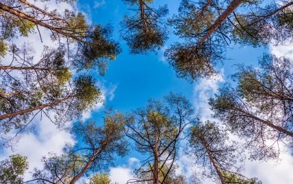 Гороскоп на 17 березня для всіх знаків зодіаку: день, коли ми довірятимемо думці інших людей