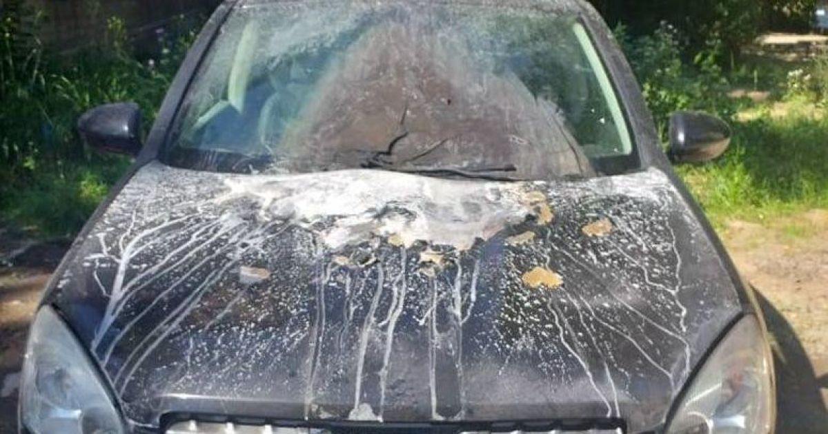 У Києві чоловік підпалив авто колишньої дружини через відмову поновити стосунки: фото