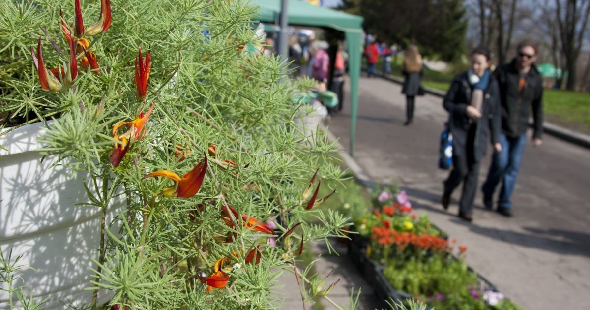 Синоптики обещают украинцам сухую и теплую погоду