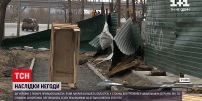 Погода в Украине: в столице шквальный ветер разогнался до 23 метров в секунду