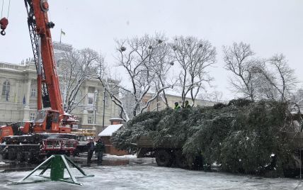 Праздничная музыка и сопровождение полиции: во Львов привезли новогоднюю елку (видео)