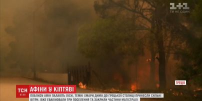 Східна Греція потерпає від масштабних лісових пожеж, є загиблі