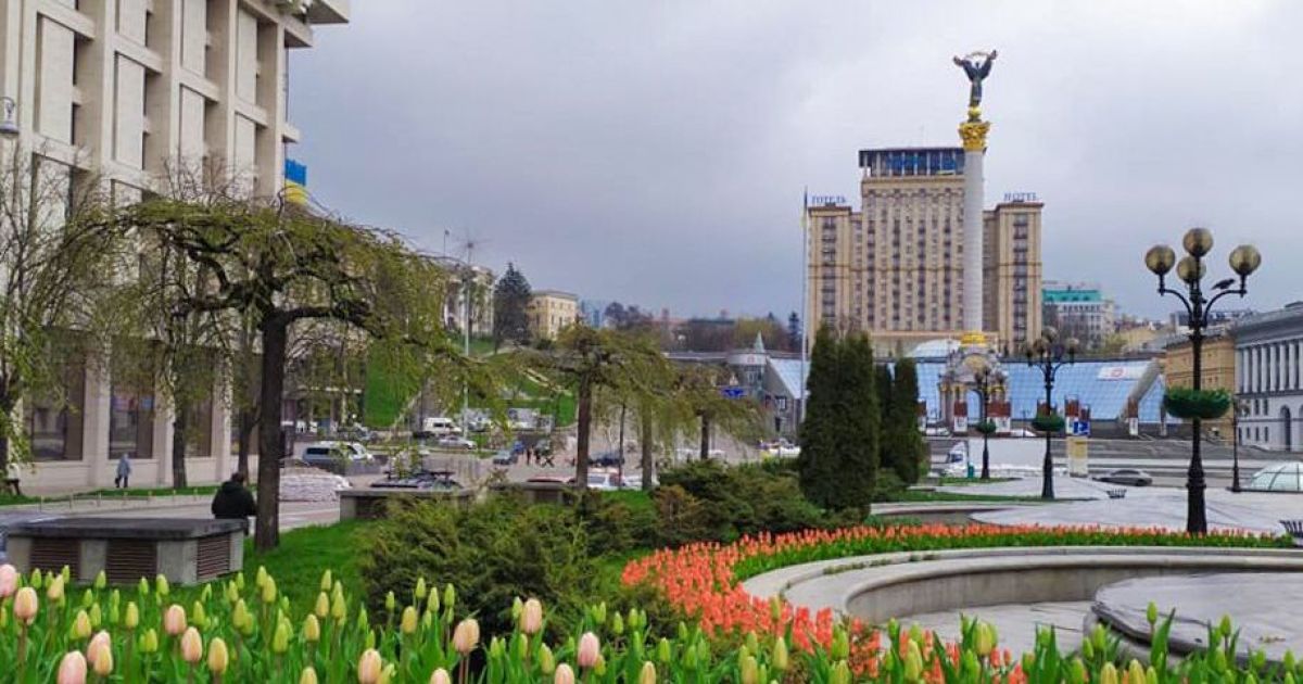 У центрі Києва розквітли 100 тисяч тюльпанів / © КГГА