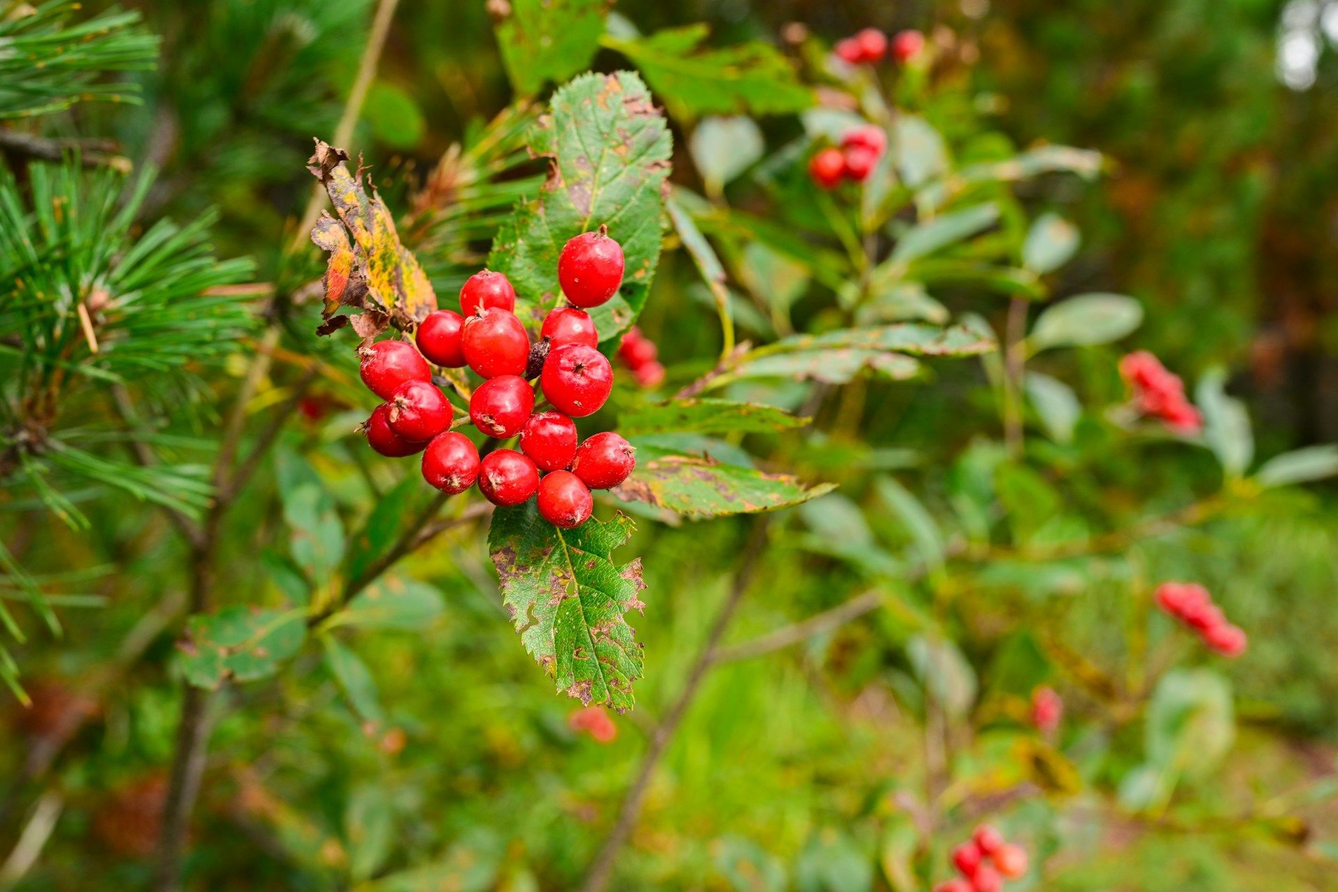 Народні прикмети 29 вересня / © Unsplash