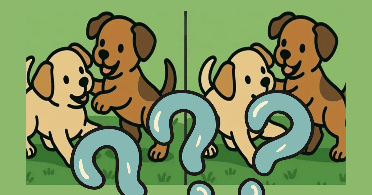 Чи зможете ви знайти три відмінності за 51 секунду