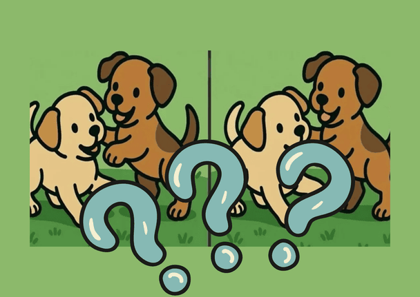 Найдите 3 отличия за 51 секунду и проверьте, работает ли ваш мозг как компьютер