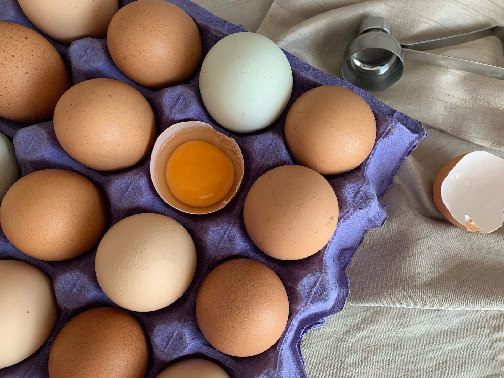 Курица несёт яйца без скорлупы: причины и что делать? | VK