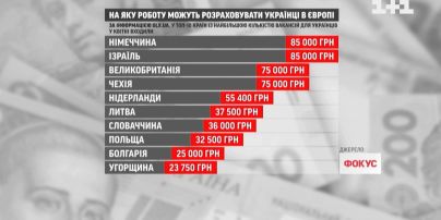 Від миття підлоги, до роботи лікарем - як українці шукають роботу в Європі