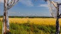 Какой день ангела 26 июля