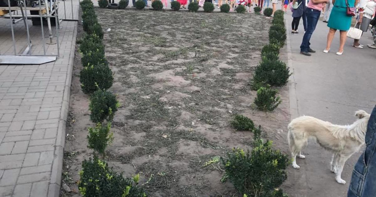 святкування обухів_12 / © Facebook/Мій Обухів