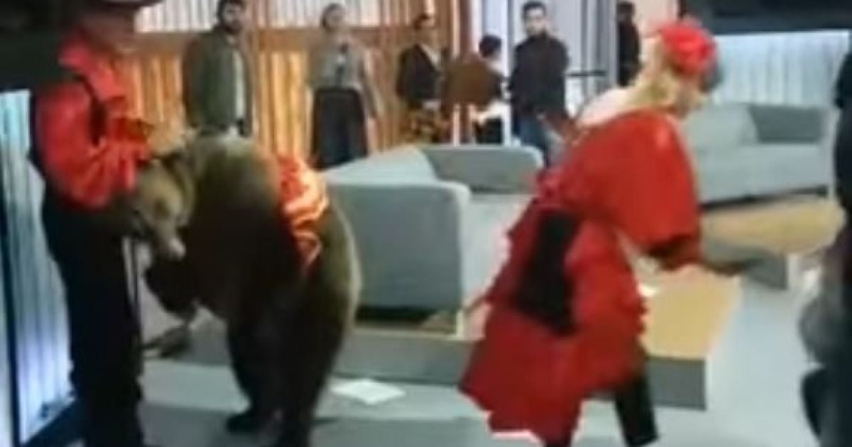 Скріншот з відео