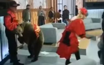 Во время передачи на "Первом канале" медведь напал на женщину