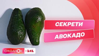 Как правильно выбрать авокадо - Дарья Дорошкевич