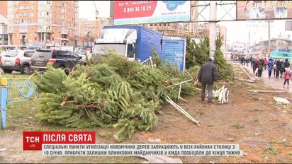 Срубленные и заброшены. Новогодние ярмарки превратились в елочные кладбище