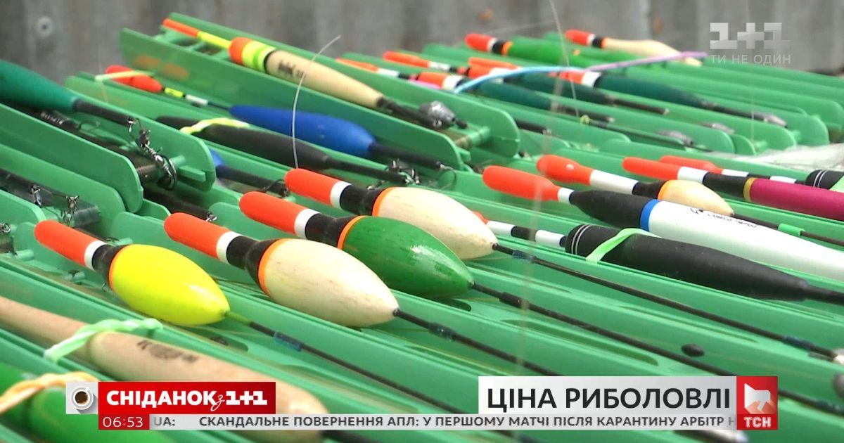 День любителей рыбалки: сколько стоит полноценная подготовка новичка