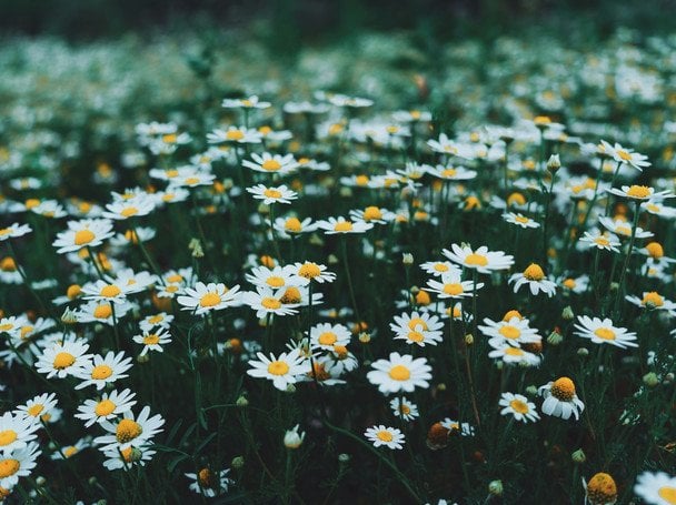 Народные приметы 26 июня / © unsplash.com