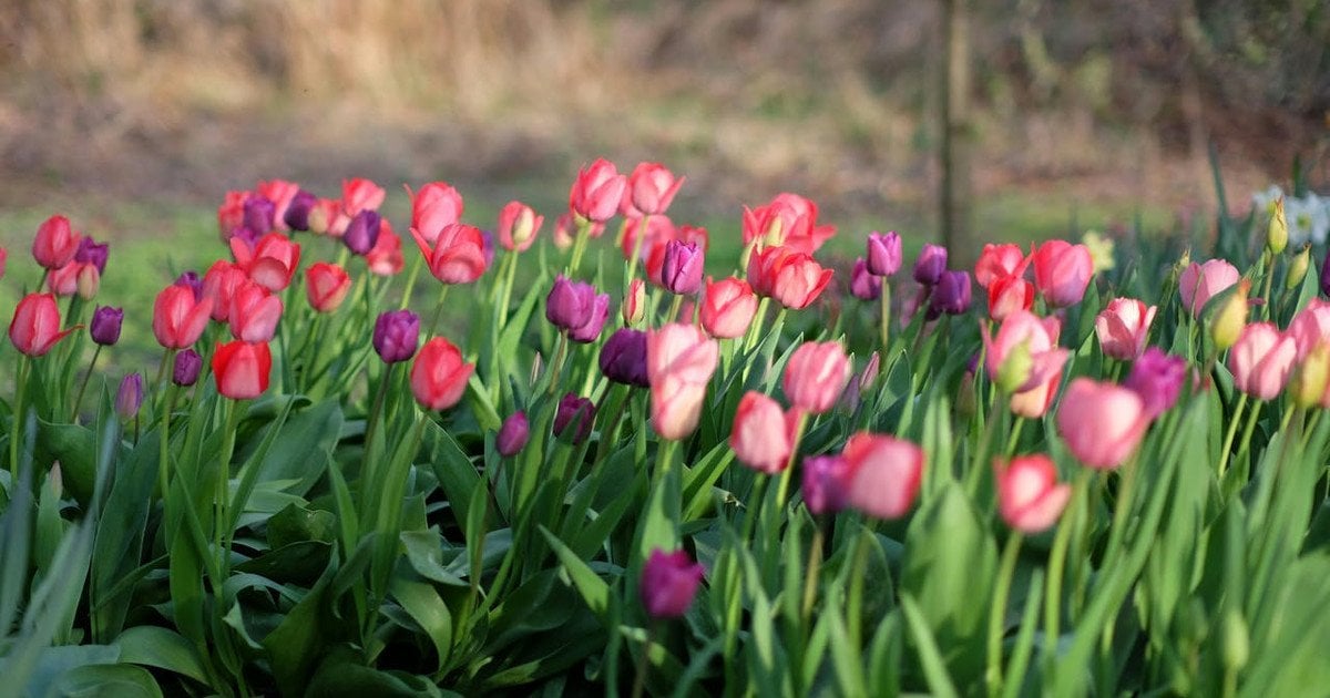 Який сьогодні, 4 квітня, день ангела