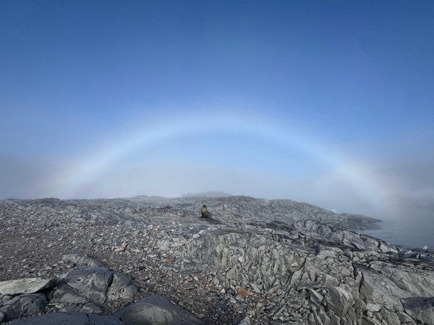 Біла веселка / © Національний антарктичний науковий центр
