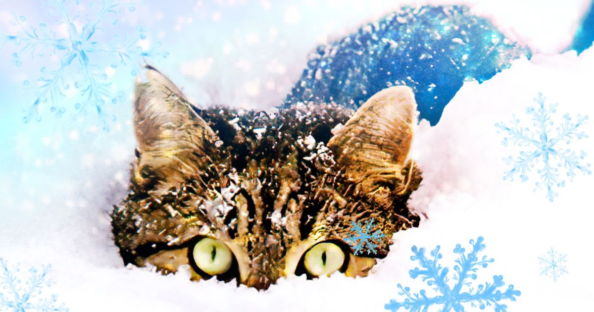 Погода у листопаді / Колаж ТСН