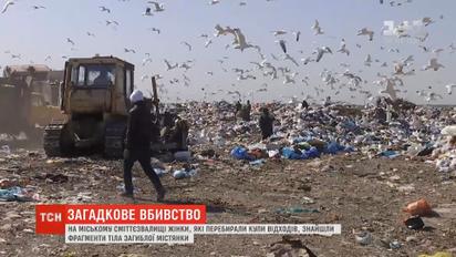 На свалке под Николаевом нашли расчлененный труп женщины