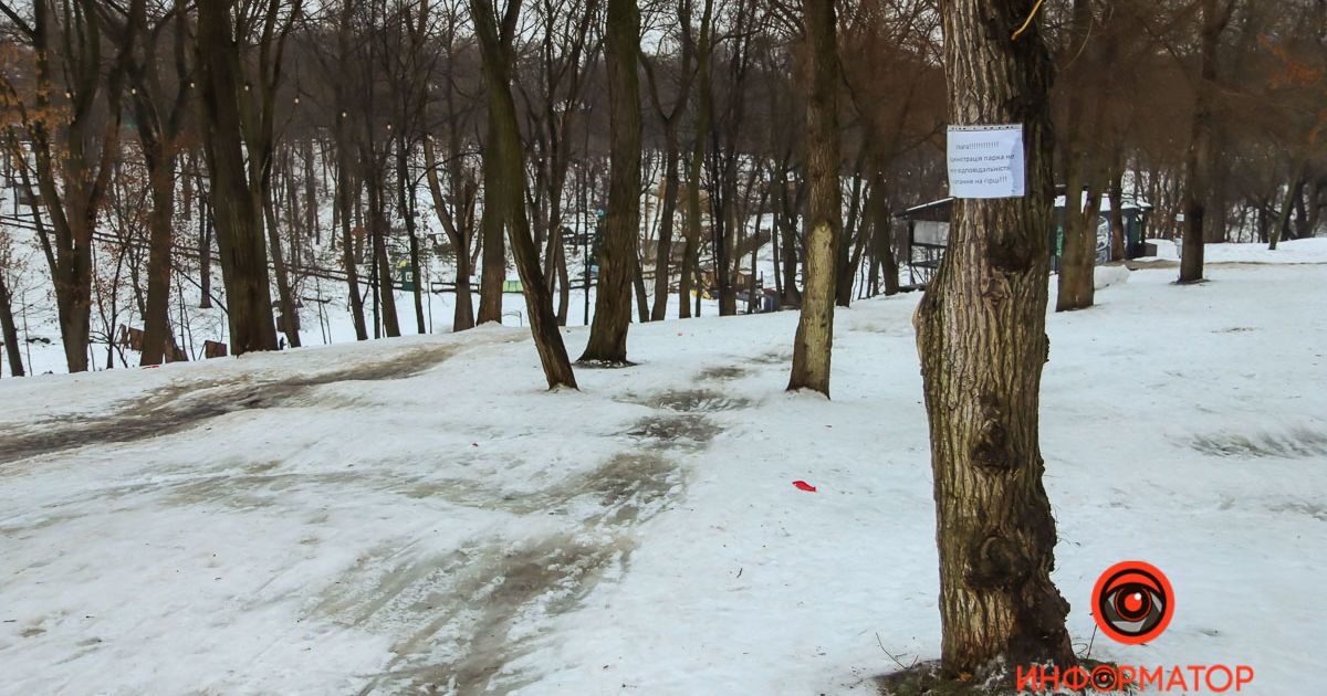 В Днепре мужчина с ребенком на санках врезался в дерево: от удара гражданин погиб на месте (фото)