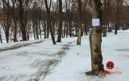 В Днепре мужчина с ребенком на санках врезался в дерево: от удара гражданин погиб на месте (фото)