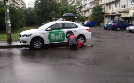 В Киеве змея сбежала из квартиры и заползла в такси (фото)
