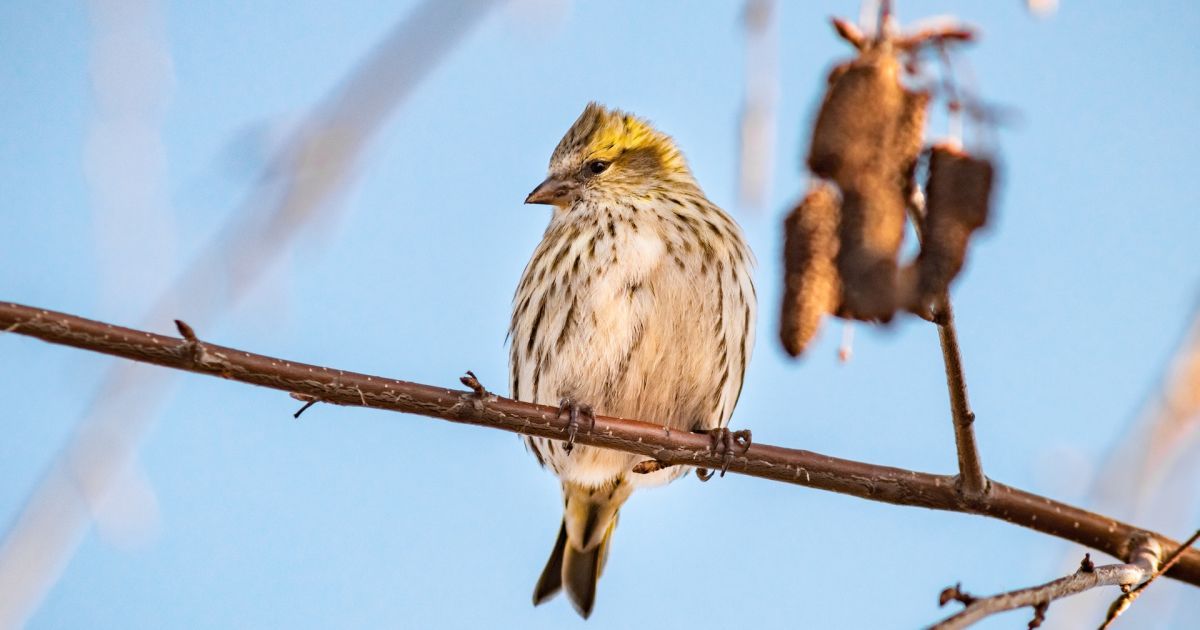 Прогноз погоди на 14 квітня: опадів стане менше, температура повітря - до +22°