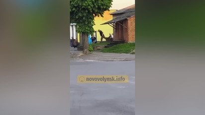 На Волыни мужчина избил в кровь 21-летнего военного на протезе (видео 18+)