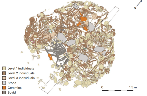 Схема масового поховання раннього залізного віку в Гомолаві. / © Newsweek