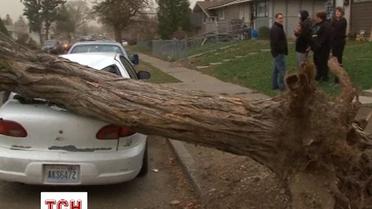 В США панує руйнівний шторм