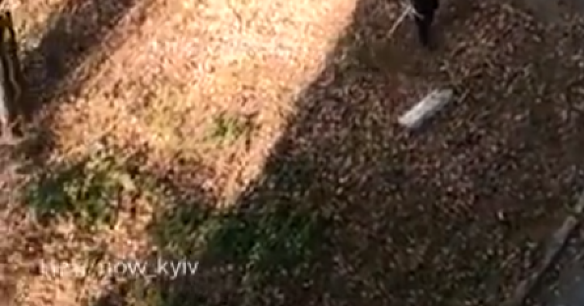 В Киеве коммунальщик "стрижет" опавшие листья газонокосилкой: видео