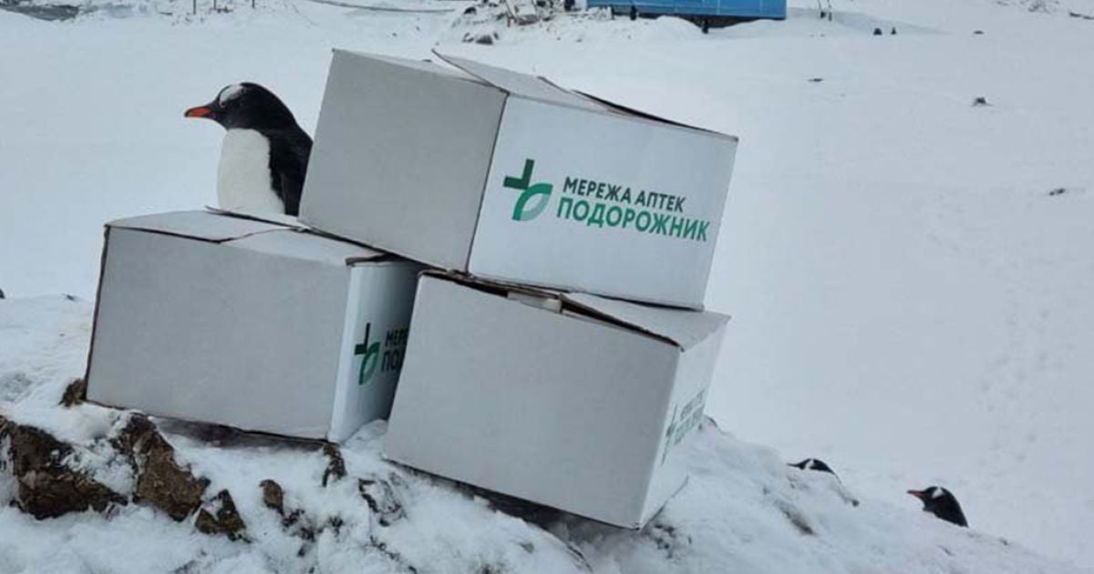 Перша полярна аптека “Подорожник”: в Антарктиді вже рік діє спільний проєкт ДУ НАНЦ та найбільшої мережі аптек України