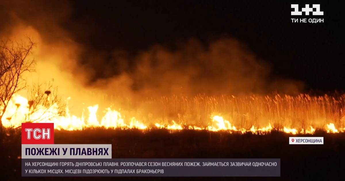 У Херсонській області палають Дніпровські плавні: відео