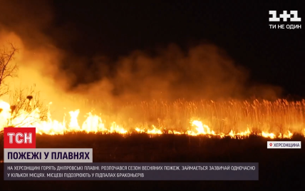 У Херсонській області палають Дніпровські плавні: відео