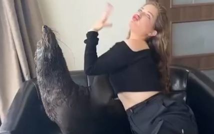 Морські котики самі пішли в номер: у дельфінарії Немо прокоментували  скандальні фотосесії в готелі (відео) — Ексклюзив ТСН — tsn.ua