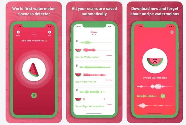 Приложение Melony: World First Watermelon Ripeness