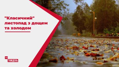 Зеленая трава, дожди и первый снег - каким будет ноябрь в Украине