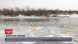 Новости Украины: в Черновцах неравнодушные спасли почти 500 лебедей от сильных морозов