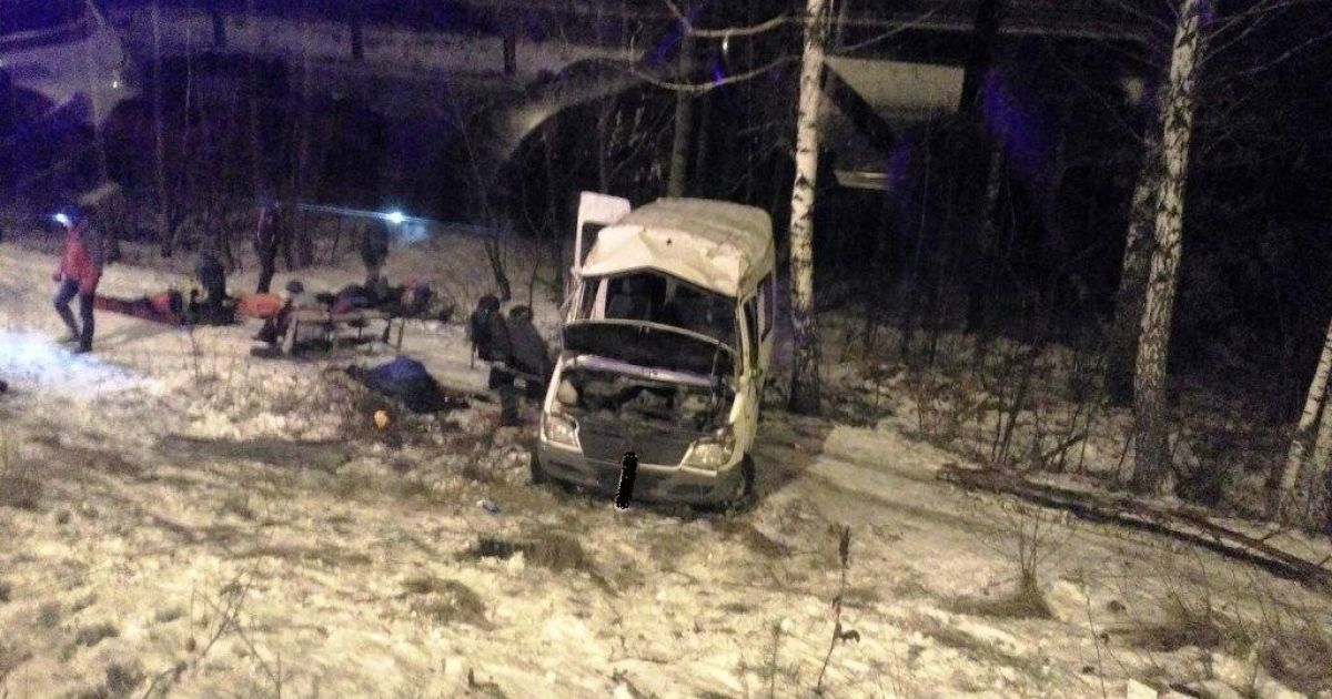 Смертельна ДТП на Житомирщині: маршрутка з туристами, які поверталися з Буковелю, вилетіла з дороги
