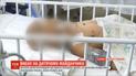 Всех шестерых детей, пострадавших от взрыва в Днепропетровской области, уже прооперировали