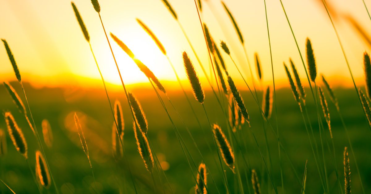 Прогноз погоди на 12 вересня: в Україні продовжується літнє тепло, температура - до +29